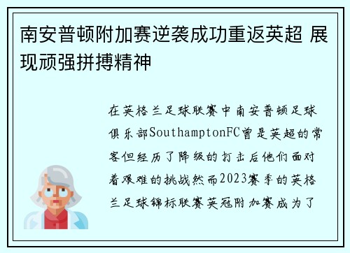 南安普顿附加赛逆袭成功重返英超 展现顽强拼搏精神